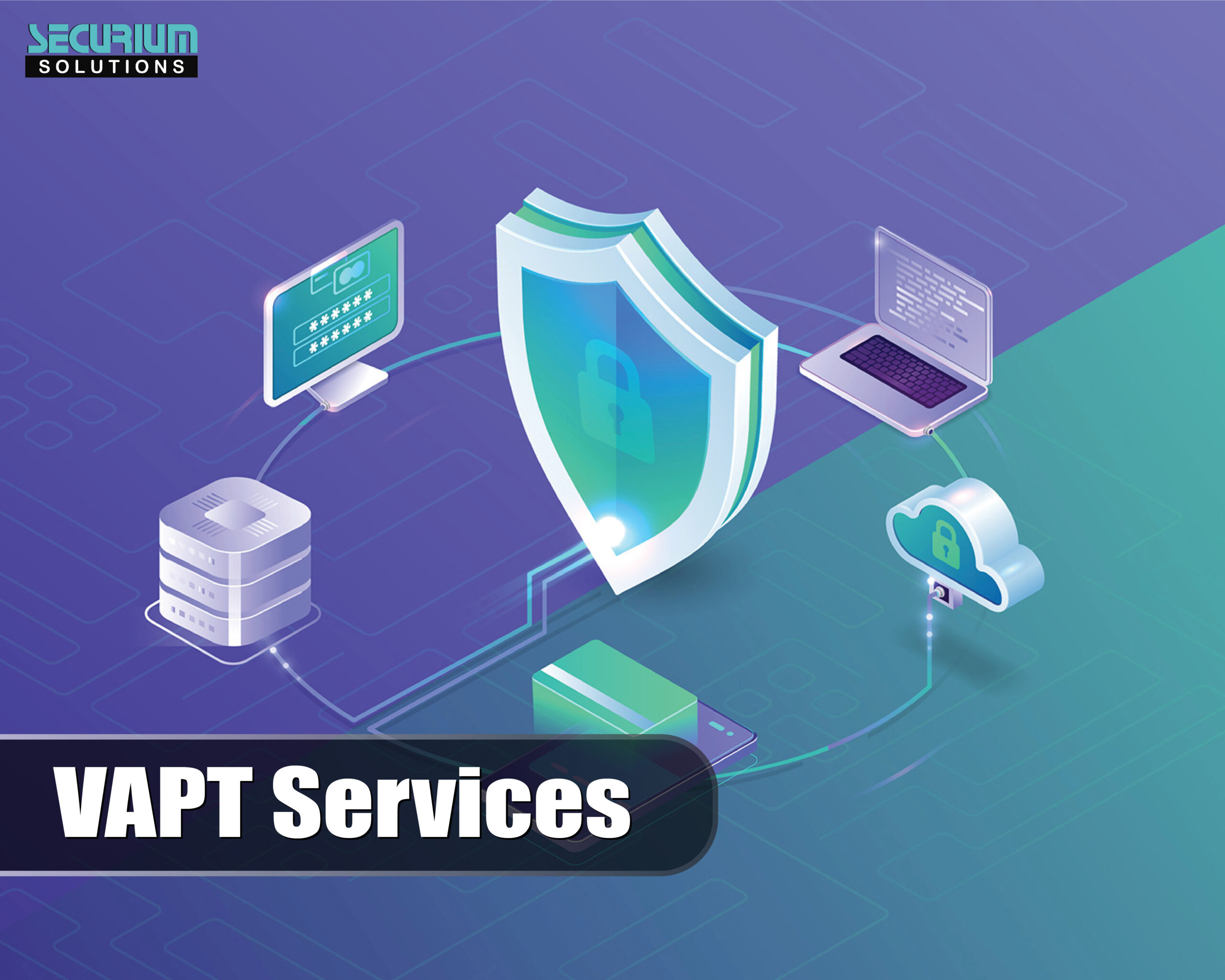 Boost Cybersecurity with VAPT Services